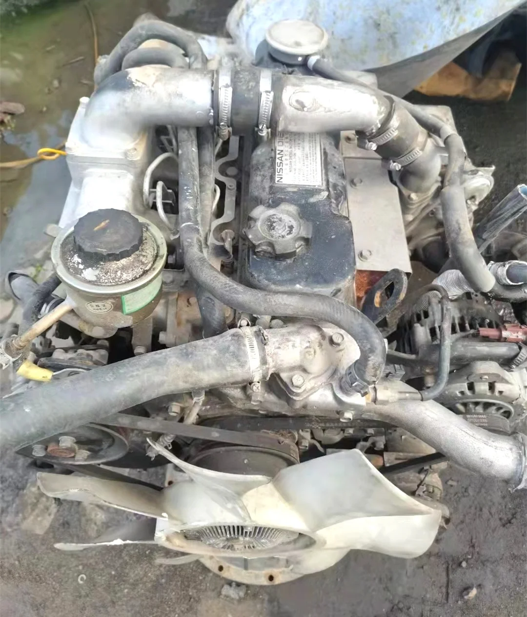 Used Motor qd32 Turbo Diesel Engine Truck Motor qd32 Turbo 4x2