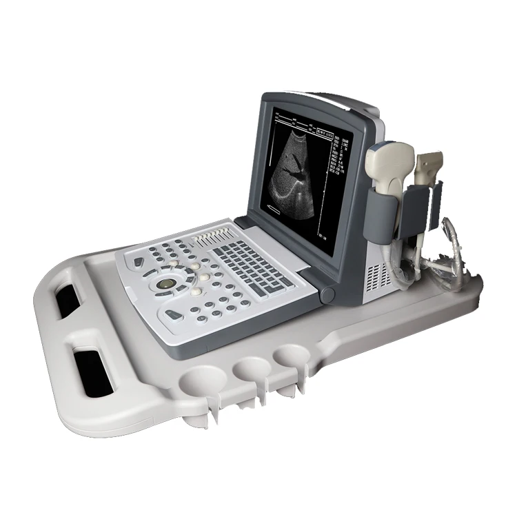 64 каркаса 12 дюймов ферма Цветной Допплер Ветеринарный ультразвуковой аппарат для животных коровьей лошади овцы собаки кошки козы свиньи верблюда