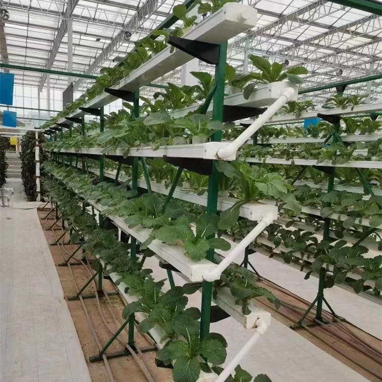 Greenhouse Food Grade PVC Pipe NFT Channel Hydroponic Growing System NFT Pipes Hydroponics