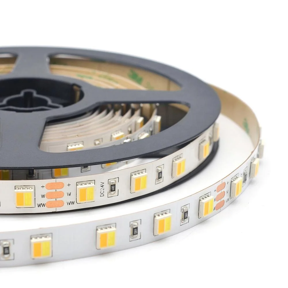 5050 2in1 Tunable 3000/6000K White LED Strip 60Leds/m