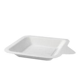 Wholesale Weddings Paper Plates Party Disposable Dried Fruit Biodegradable Paper Plate