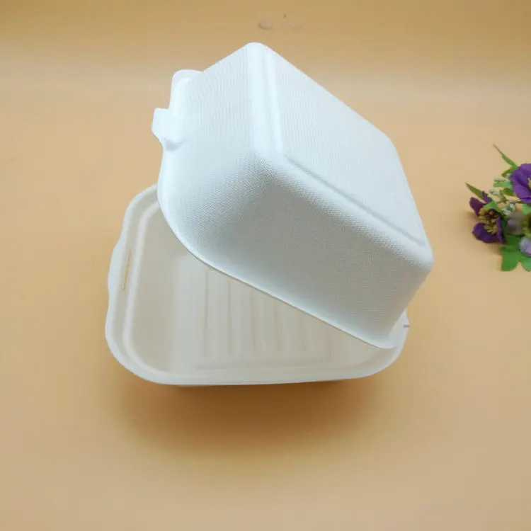 
biodegradable sugarcane pulp 6