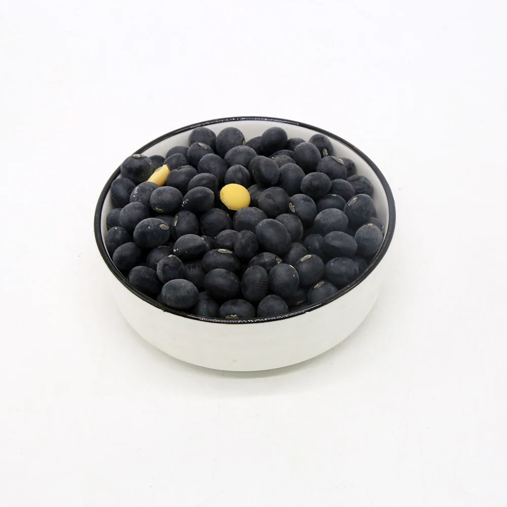 Export Good Quality cooked Chinese Black Kidney Bean