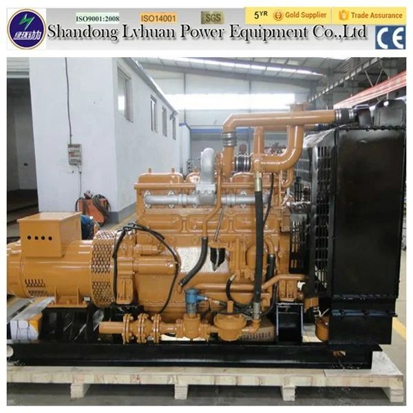 Landfill Mini Biogas Electricity Generator 500kw