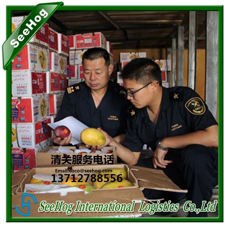 Shanghai to Croatia export customs clearance service 13712788556