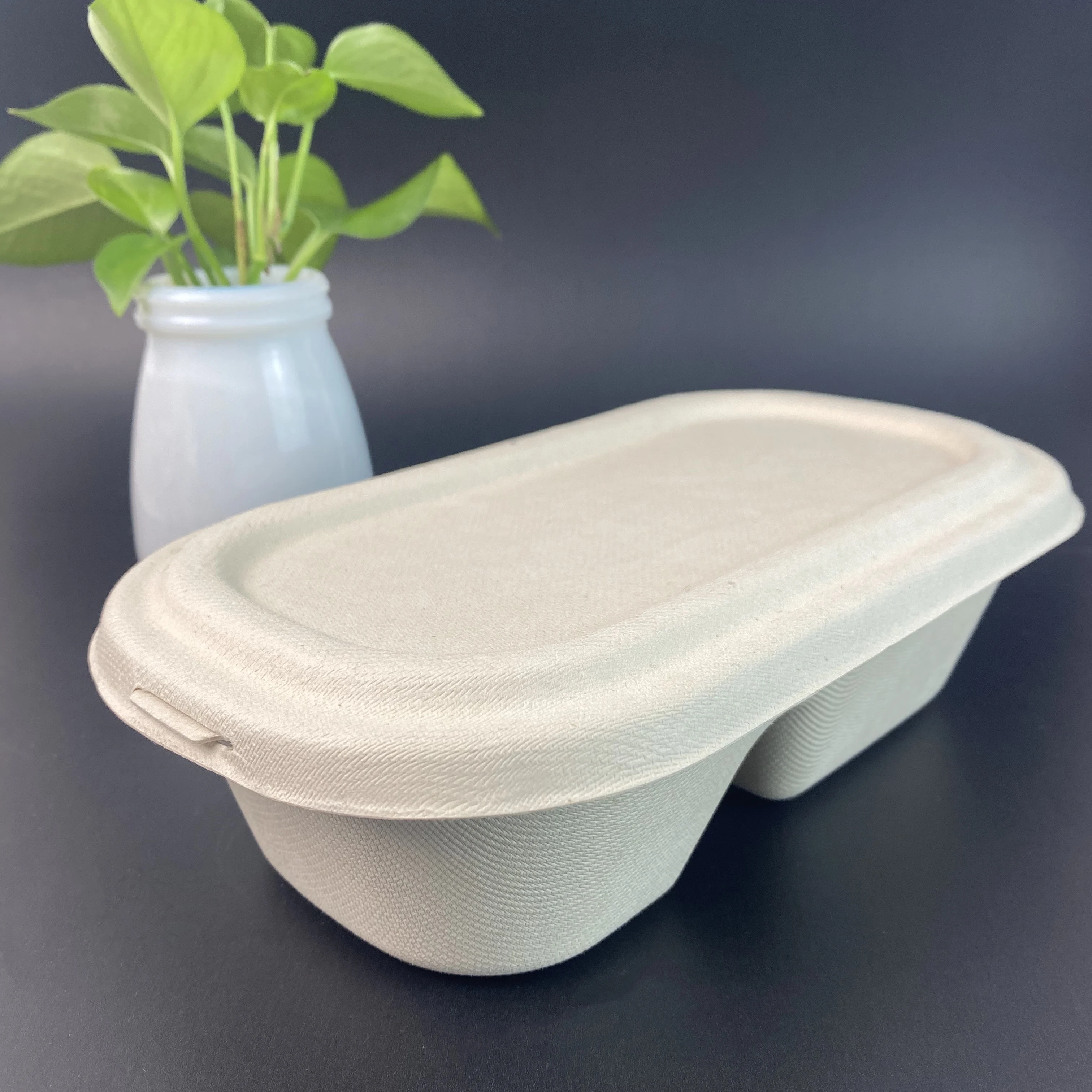 customizable 2 compartment salad Bowl  with lid Disposable and compostable dinnerware sets Biodegradable food packaging bagasse