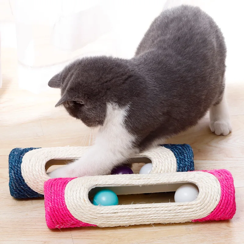 Котенок для кошки