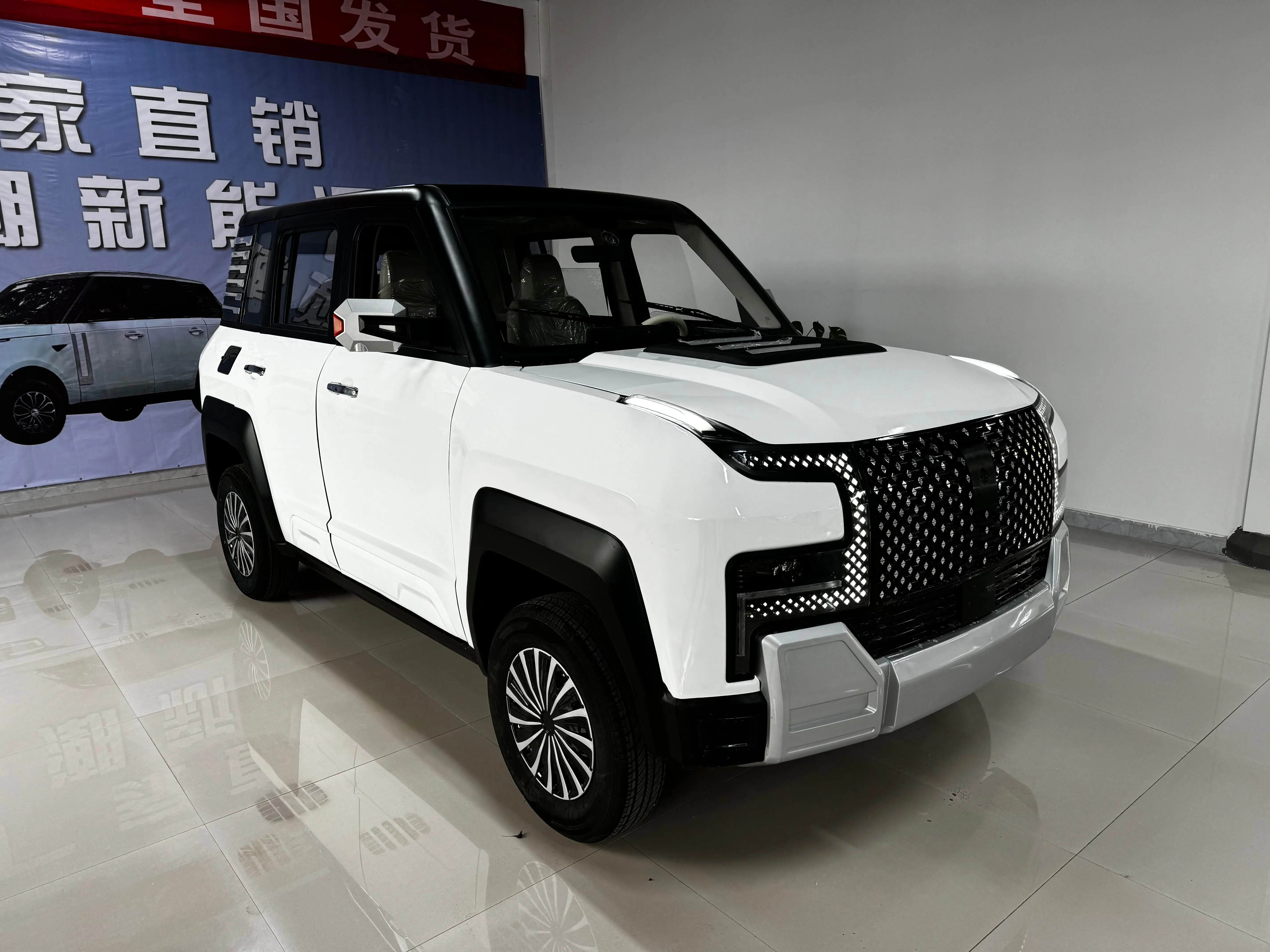 Hot Adult Four-Wheel Mini Electric Small Car Made in China New Energy Vehicle