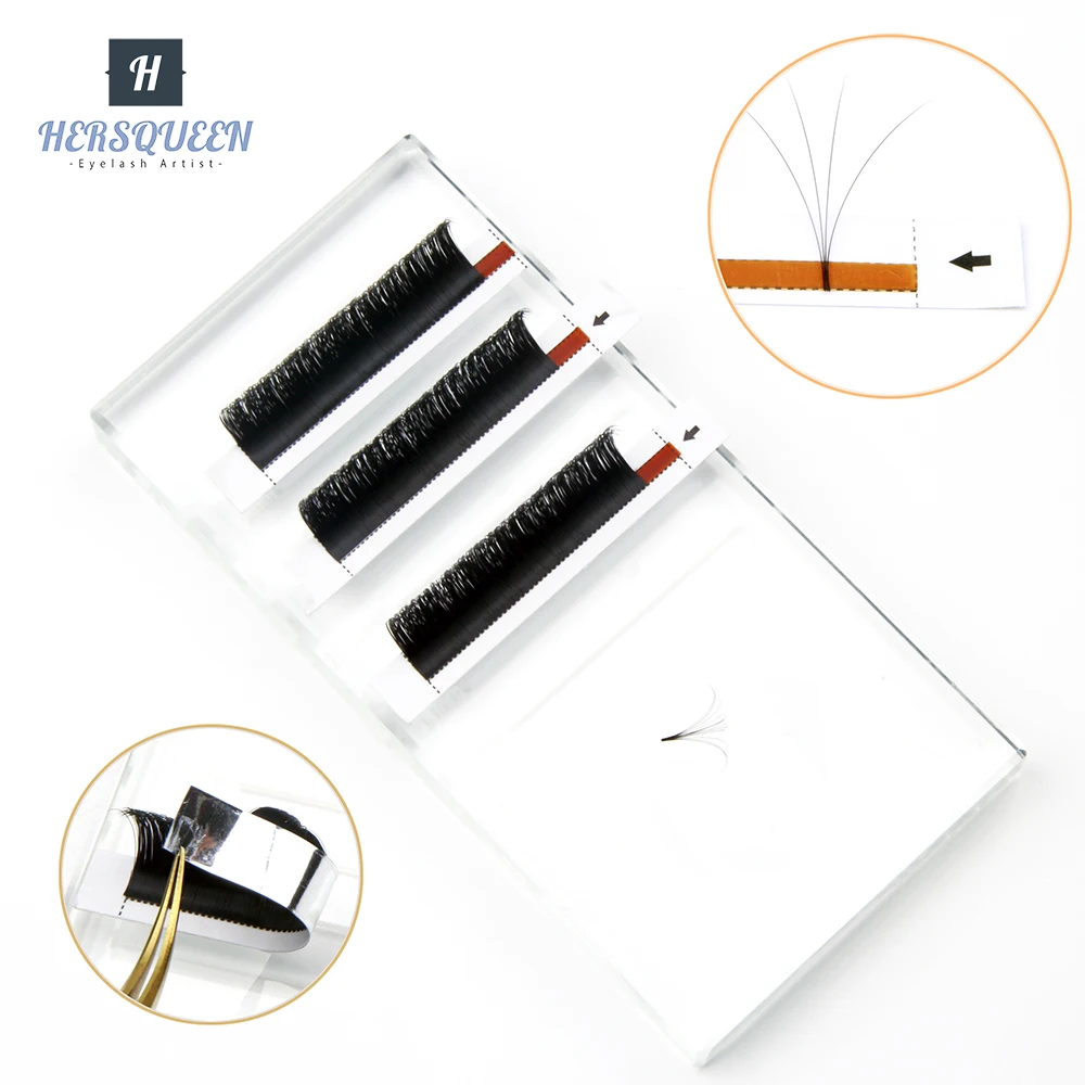 salon profession  lash