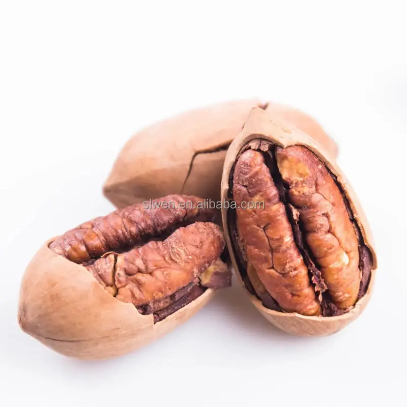 Good price high quality raw roasted Pecan kernel pecan nut