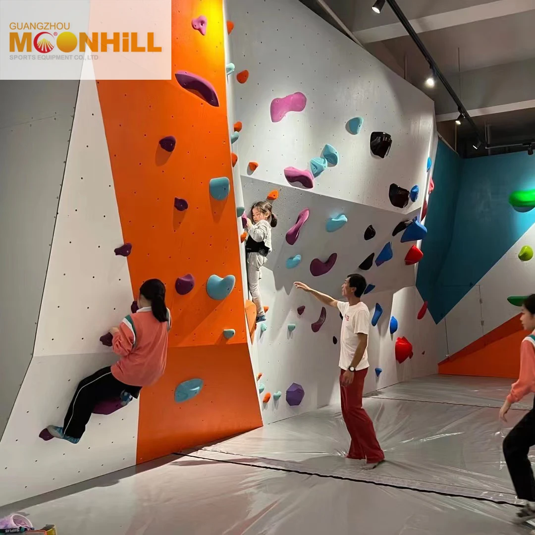Amusement Adult Rock Indoor Climbing Wall Composite Resin Board ISO9001 ISO14001