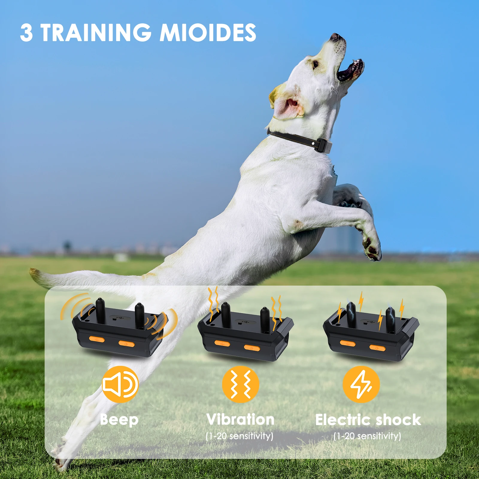 China Wholesale Dog Pet Training Collar 3000 Feet Range Dog Training Device with Recorder, 3 Modes,Color Screen for Pet Training