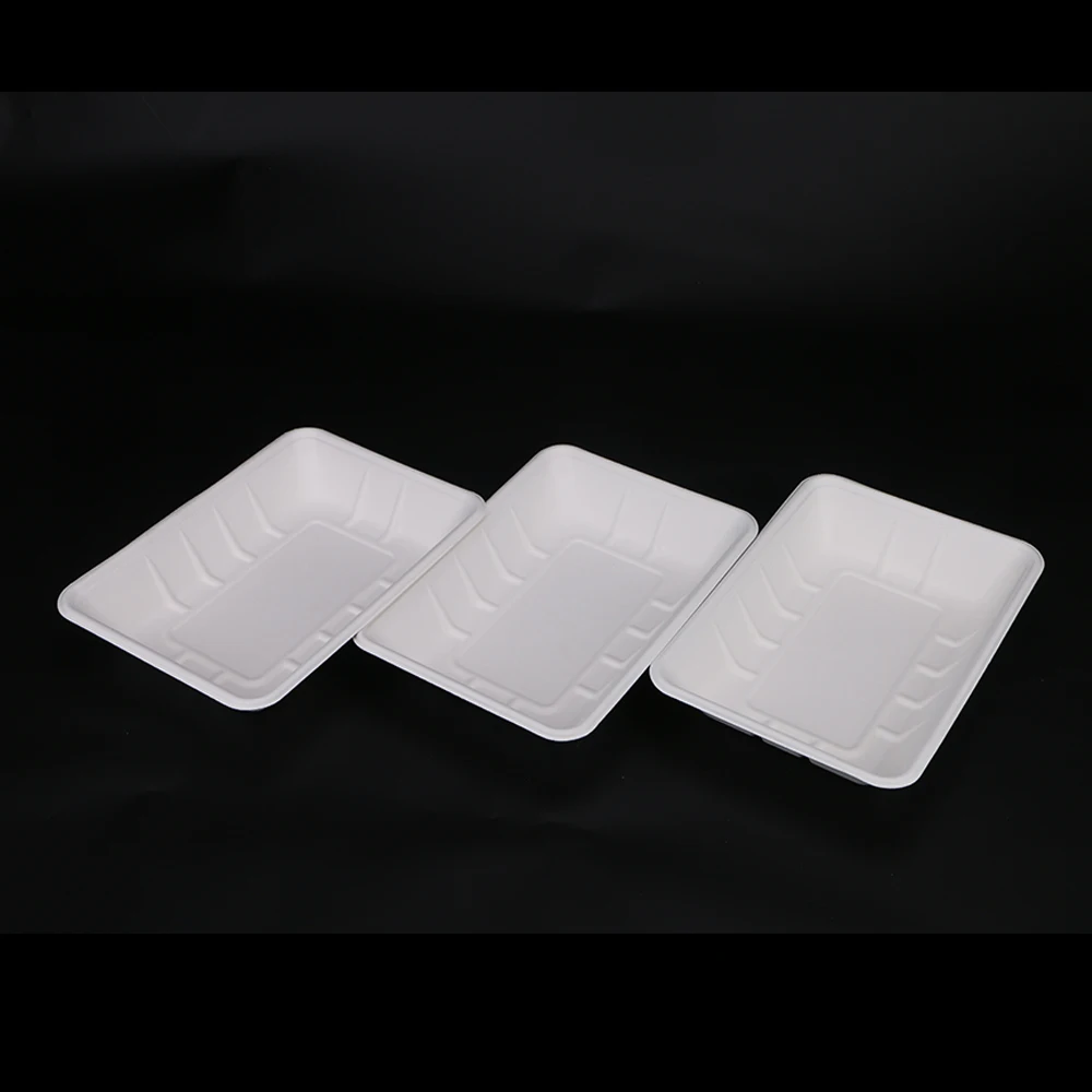 Biodegradable & Compostable Sugarcane Bagasse Rectangular Serving Sushi Tray