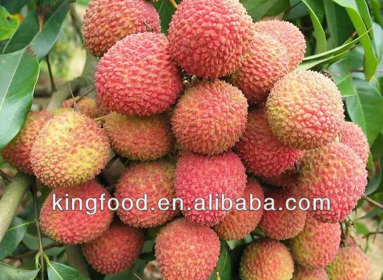 Wholesale New Season Fresh Canned Fruit Canned Lychee / Litchi/ Lichee in Syrup Ready to Eat