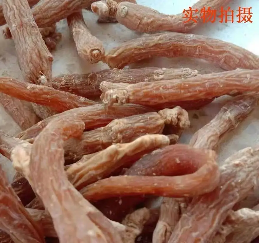 Free Samples Panax Ginseng Tea Siberian Ginseng