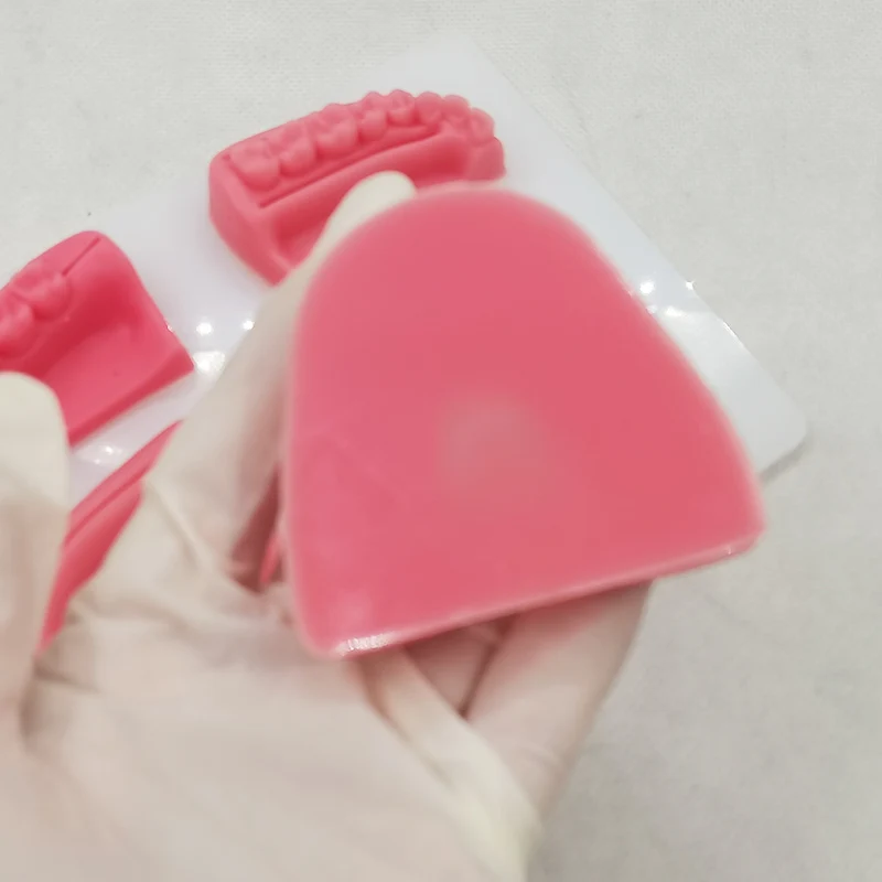 TUOJIN Simulation Oral Suture Models With Acrylic Plate Silicone Students Practice Suture Model