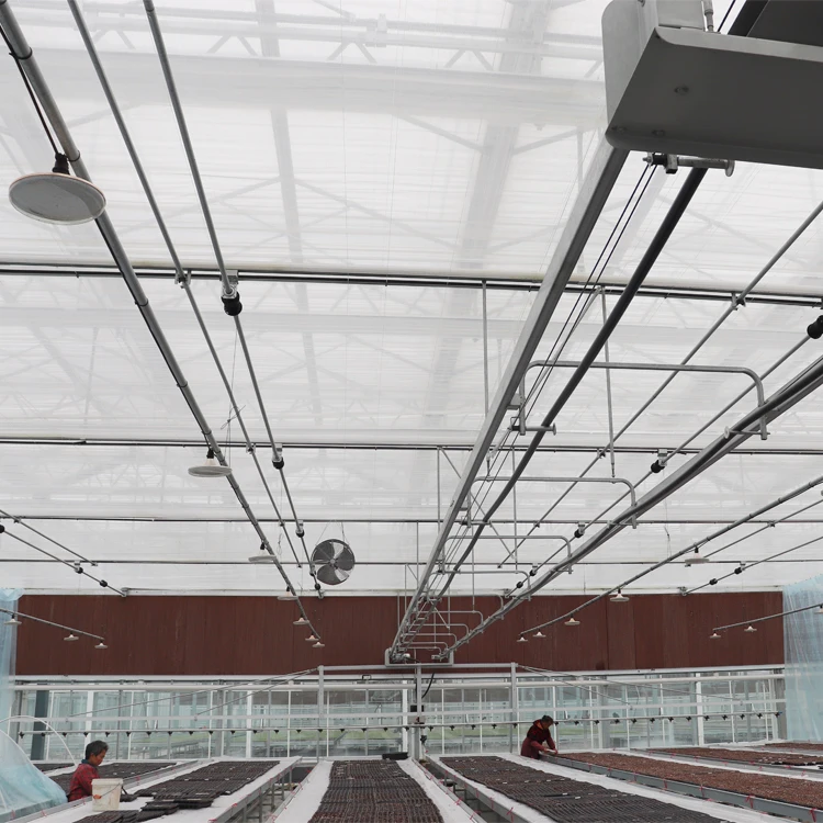 MYXL Large Venlo Multi-span Agricultural Glass Greenhouse