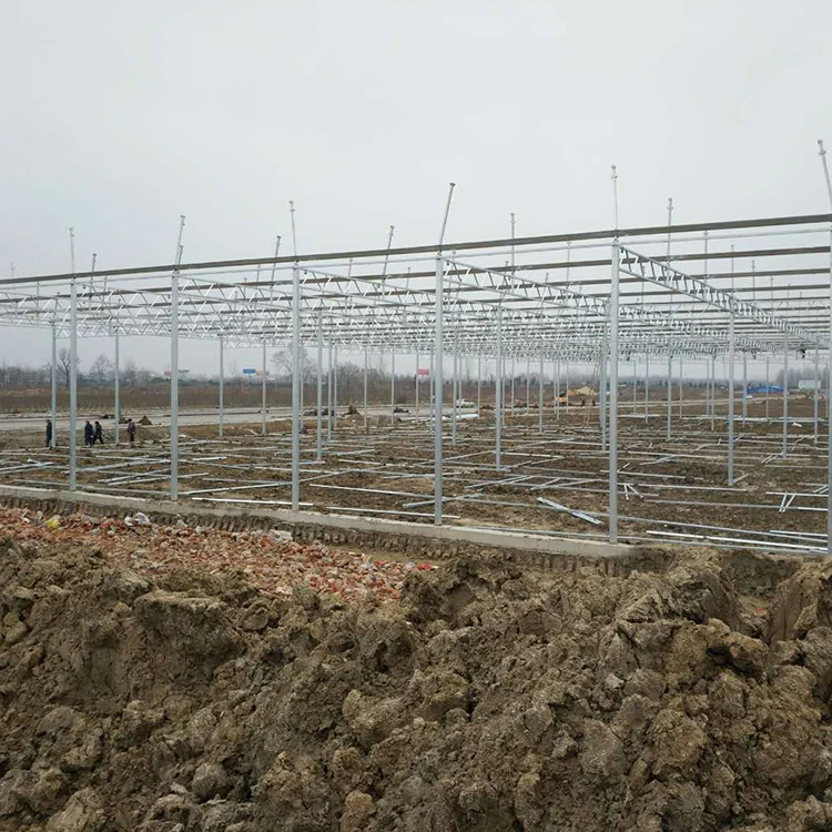 
High Efficiency Glass Cover Multi Span Agricultural Greenhouse Hydroponic Growing Green House 