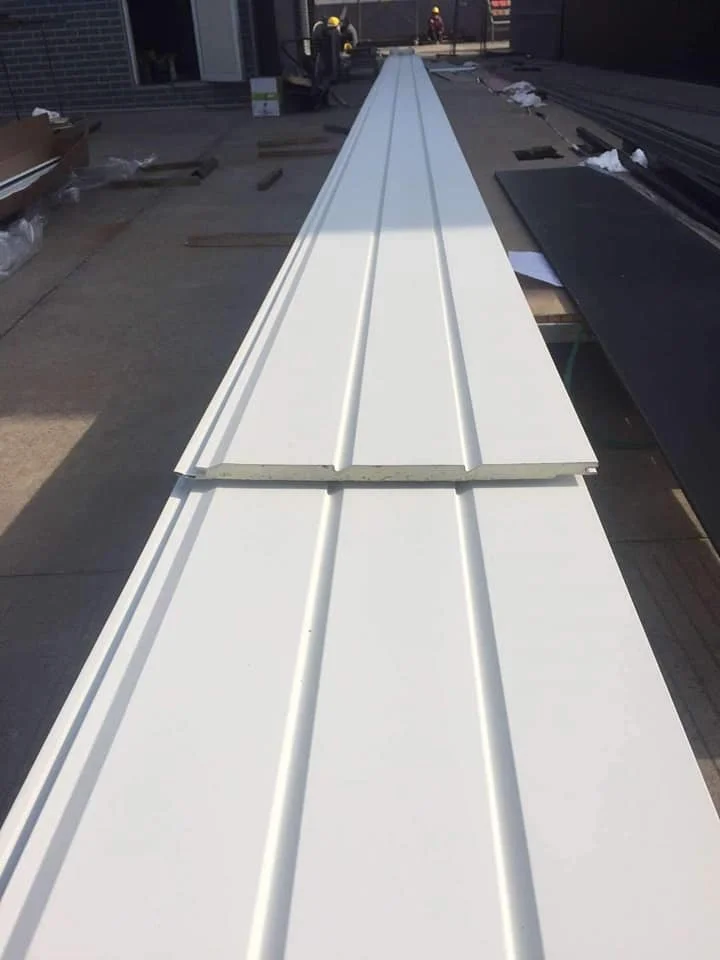 Fireproof Waterproof Extruded Building Polystyrene Foam EPS Sandwich Panel Foam