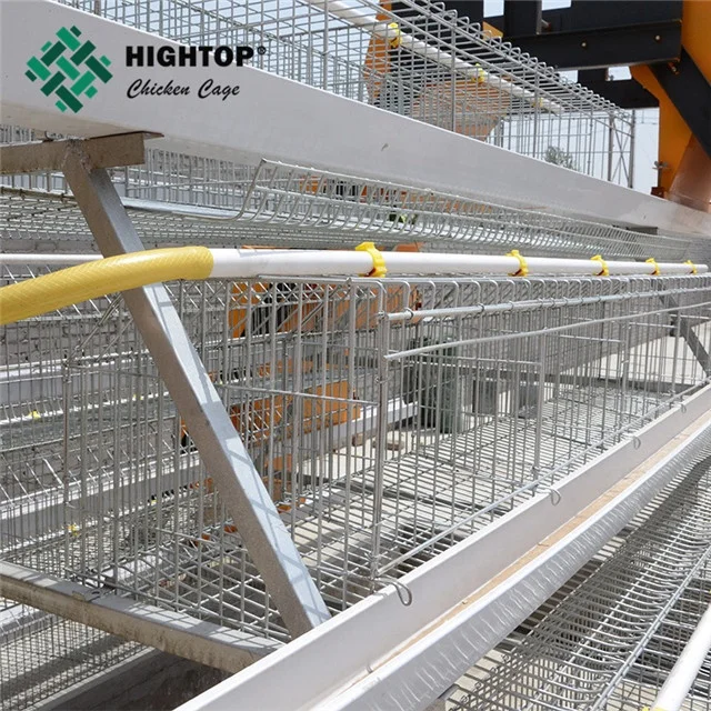 
4 яруса типа А для курицы, Автоматическая Аккумуляторная система для продажи 