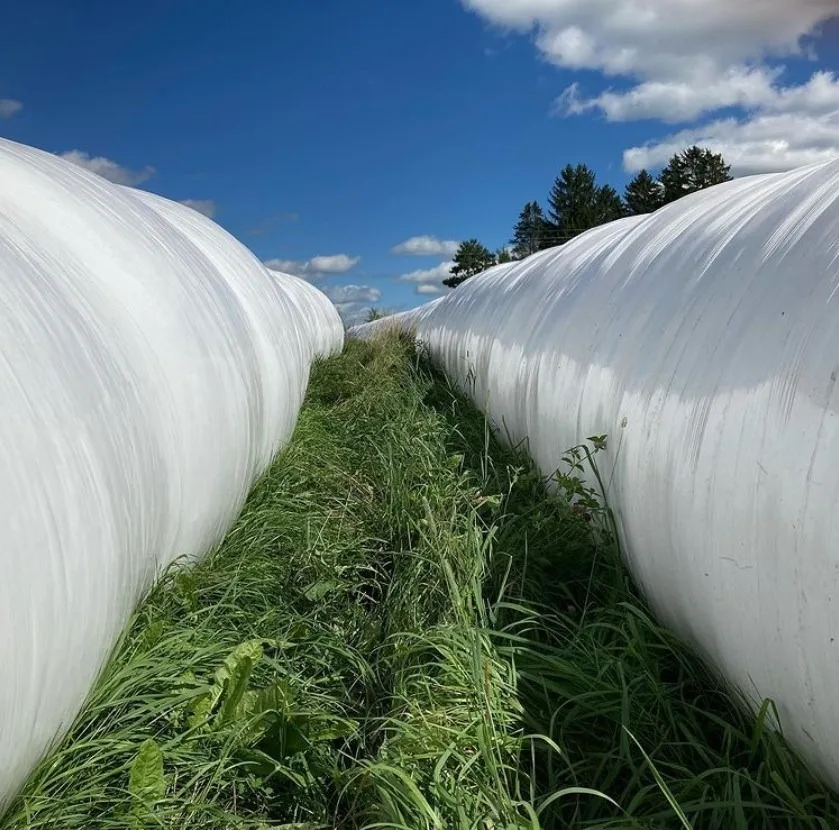 Agriculture Storage Plastic Bags Customize sizes, Good Value For Money Suitable For Wheat FEED Grain