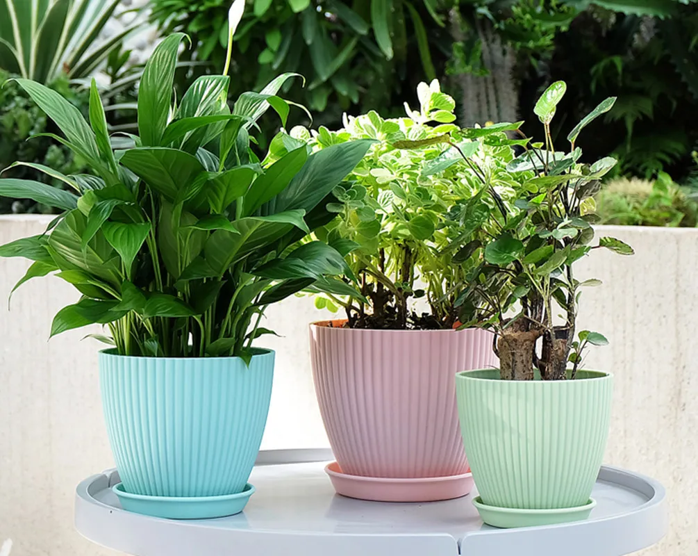 Horticultural resin plastic simple pot succulent green rose gallon factory direct striped basin