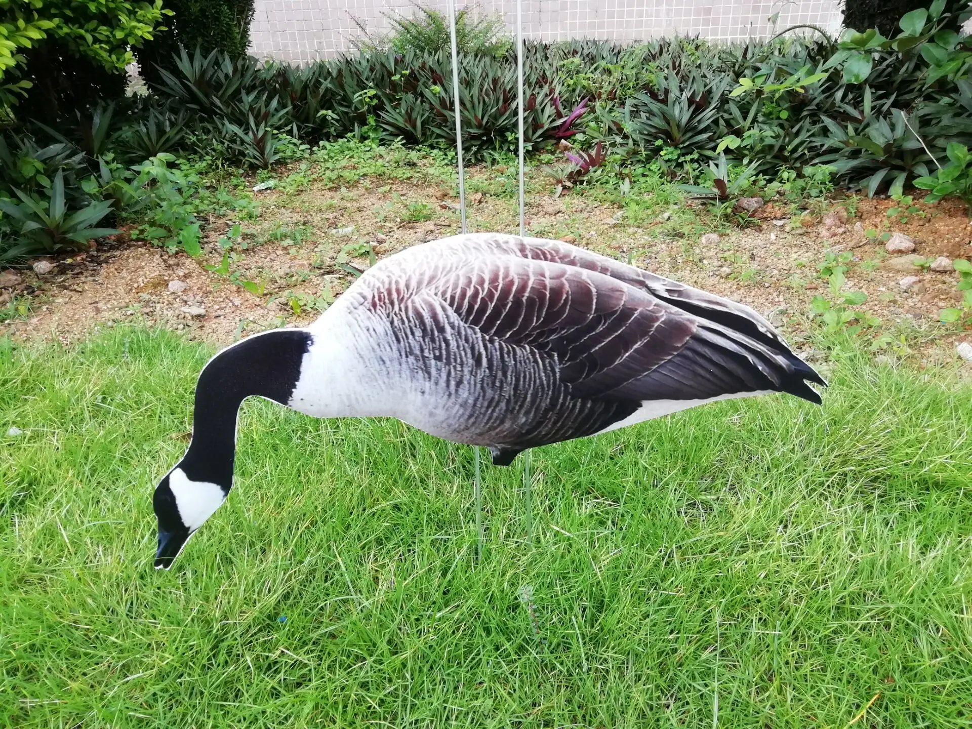 Canada goose silhouette decoy customized plastic corrugated decoy manufacturer