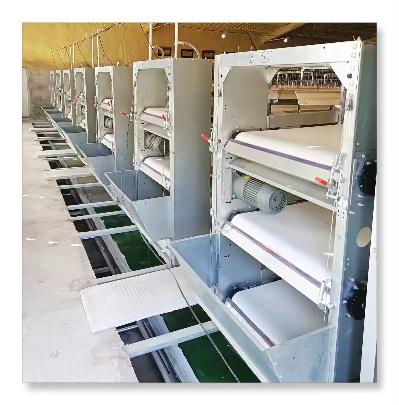 H тип автоматическая система бройлера куриная клетка Бройлер птицеводство оборудование