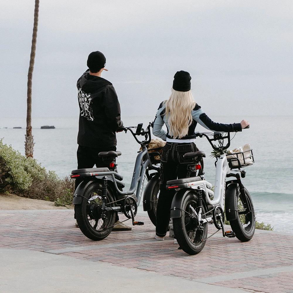 Factory Nice Price Electric Bike With Lithium Batteries/China Hot Sale Electronic Bicycles /Electric Push e Bikes For Sale