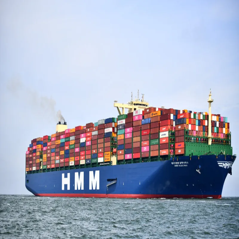 Competitive FCL sea freight shipping container to Ashdod from China