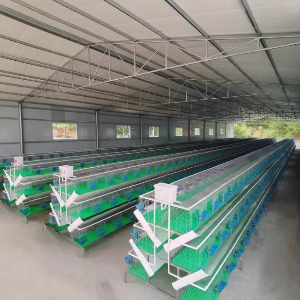 Mesh Wire Farming Rabbit Cage in Kenya Farm for Hot Sale
