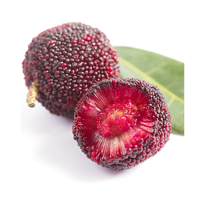 KWS 2022 fresh new fruit bayberry waxberry