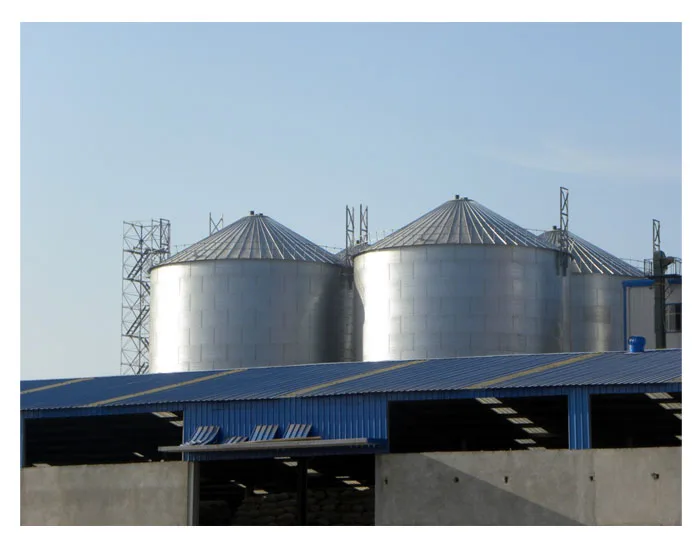 200 Ton Sorghum Grain Silo 500Ton 1000Ton 200Ton 5000Ton Grain Silo Price Chicken Feed Silo