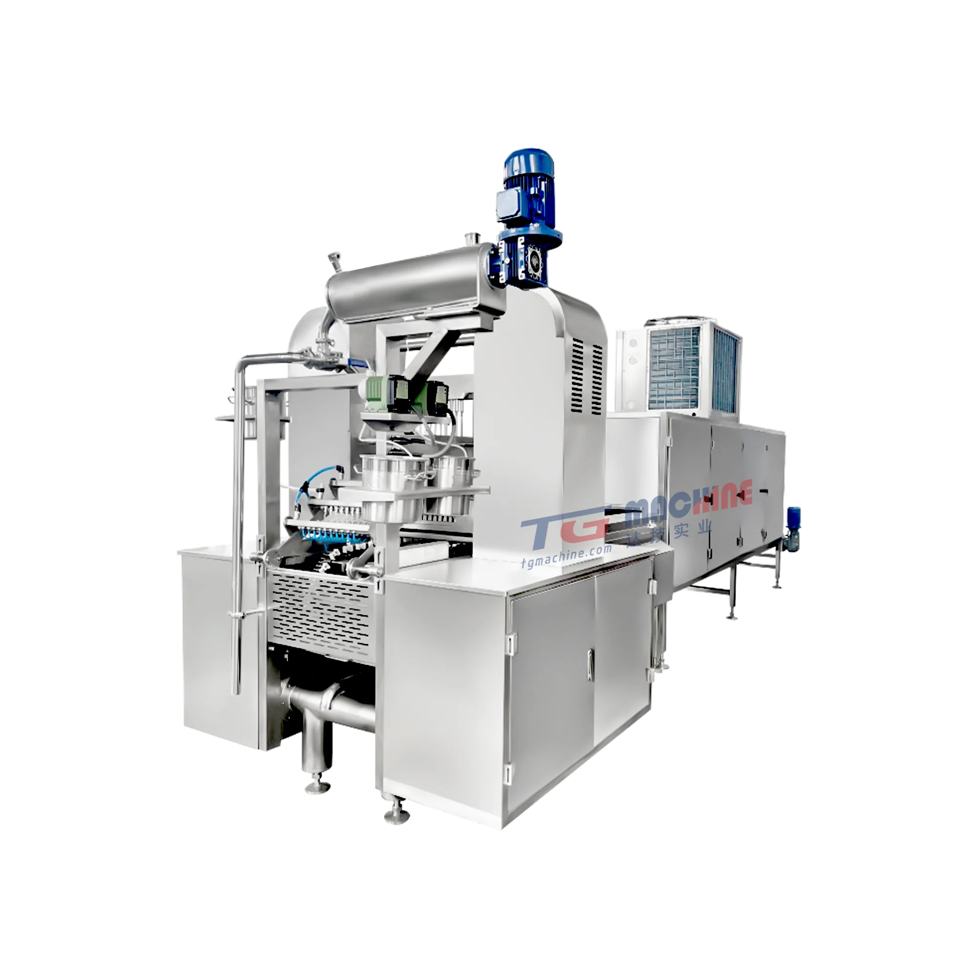 gummy bear vitamin formula champagne gummy bear starchless vitamin gummy candy machine