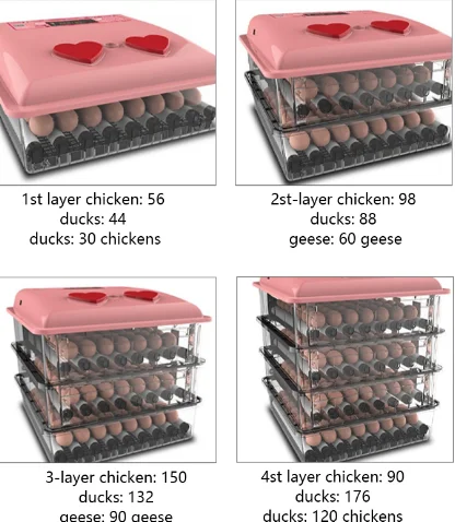 Chicken Egg Incubator Hatching Machine Full Automatic 12 Volt Egg Incubator Incubator Plastic Egg Trays