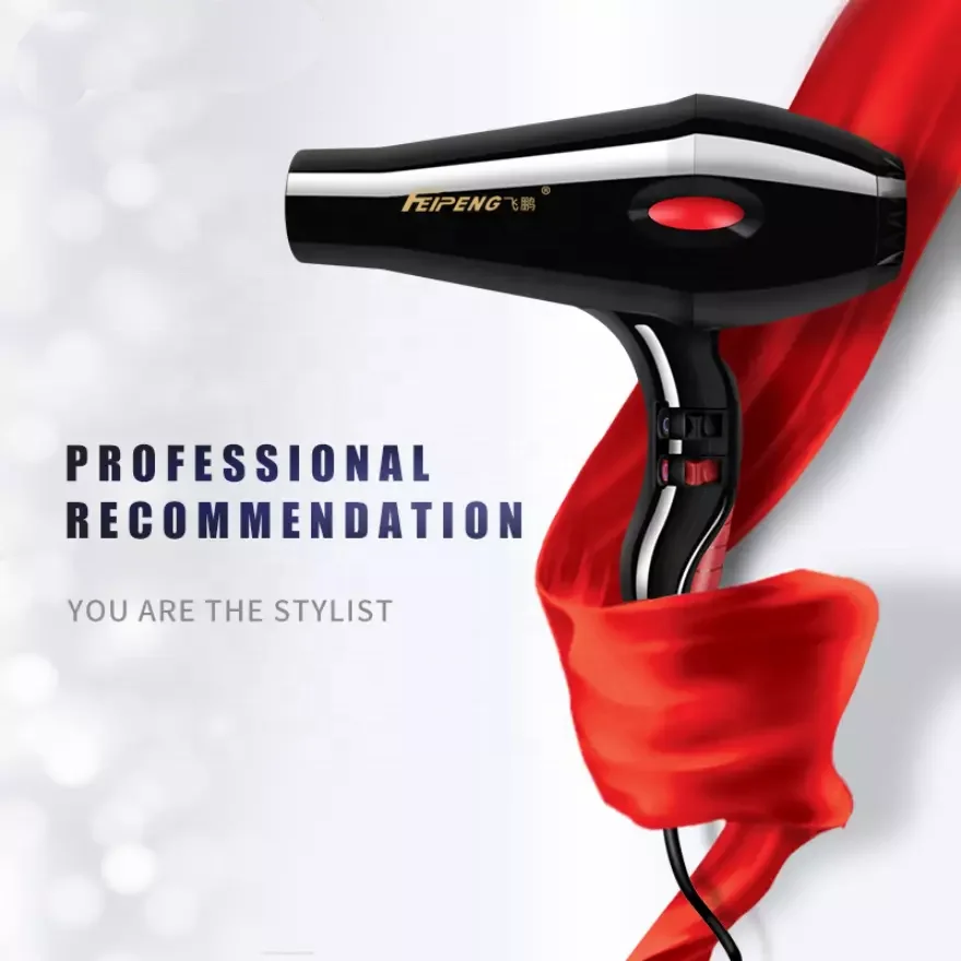 Factory direct sale 2 speed silent wind speed hair dryer with heating protection device