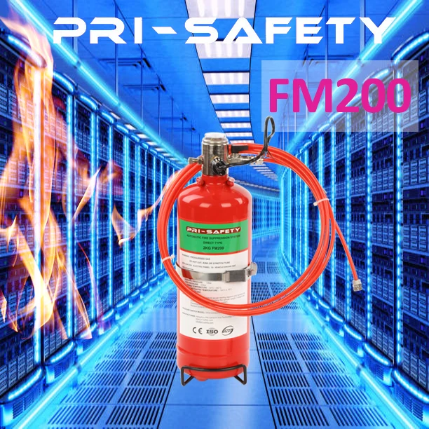 HFC-227ea/FM200 электрические шкафы системы подавления и защиты пожара