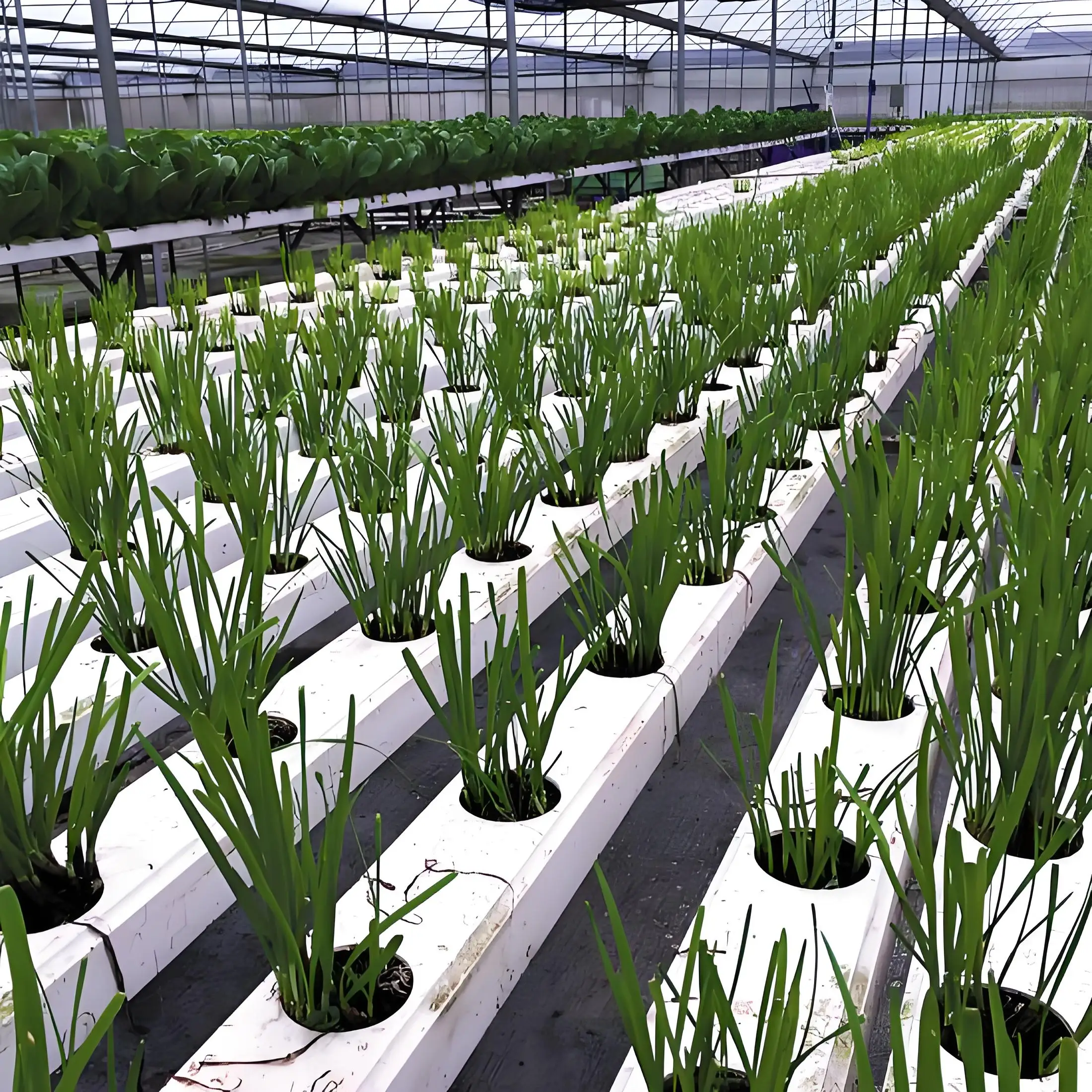 vegetable  aeroponics and vertical greenhouse complete hydroponic system kit PVC pipe 50mm nft channel hydroponics