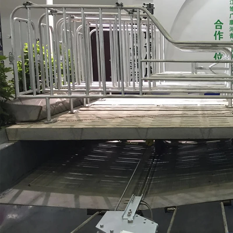 Wholesale chain conveyor for cow dung spreader system machine cleaning house mini skid loader poultry manure scraper