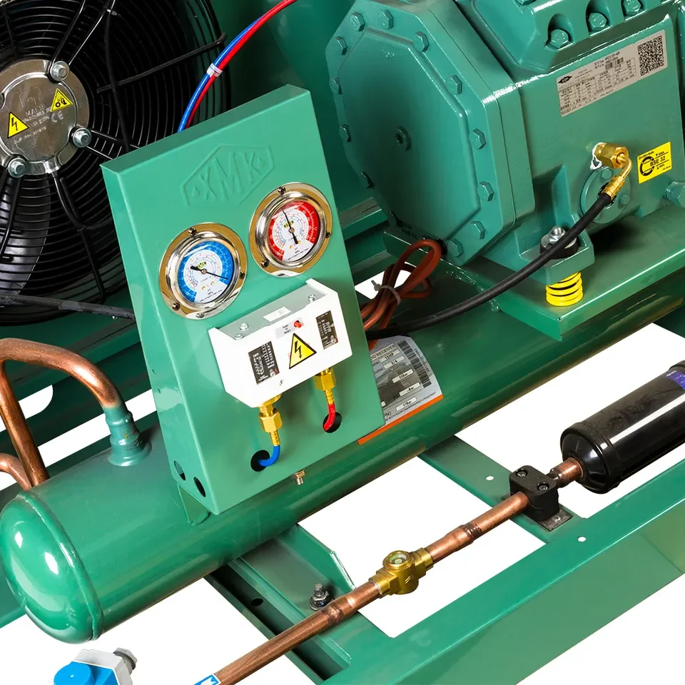 Professional Freezer room refrigeration unit cold room condenser unit cold storage refrigerating machine Unit