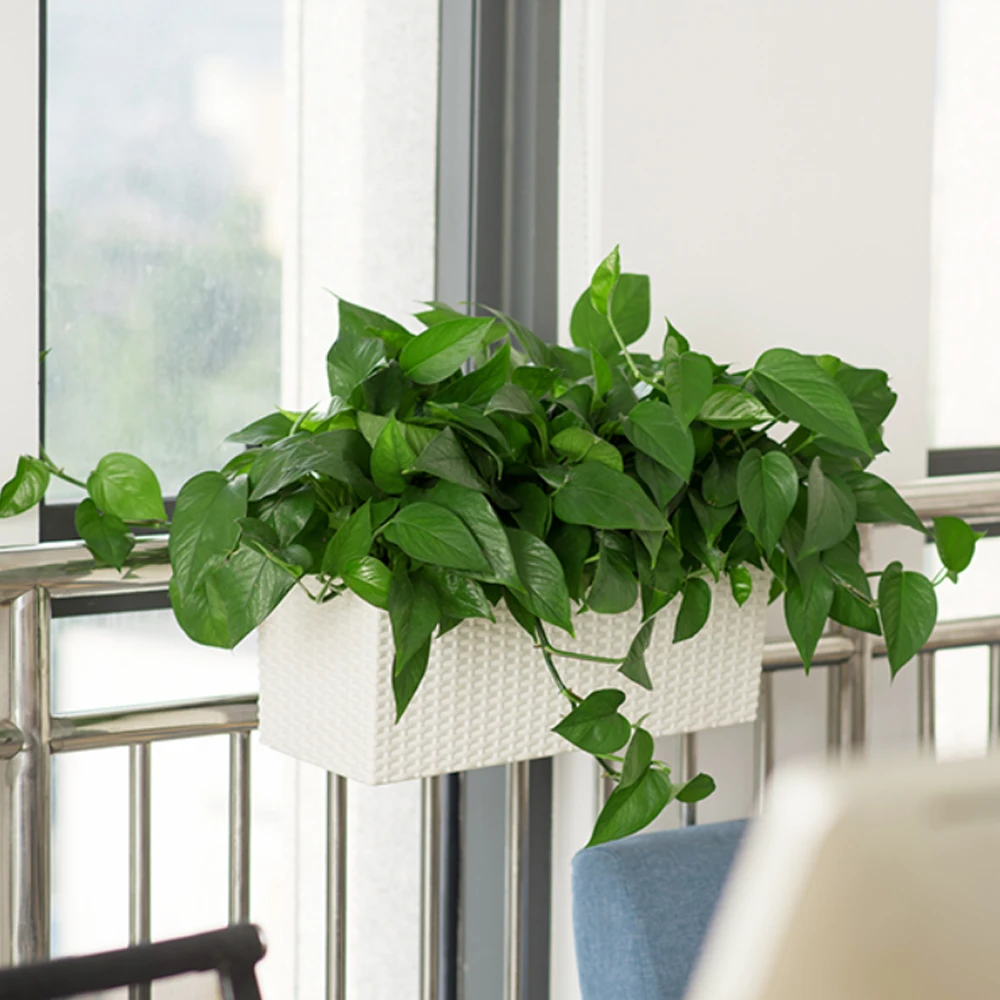 Huazhiai Outdoor Decorative Rectangular Rattan Garden Self Watering PlasticPlanter Balcony Pots