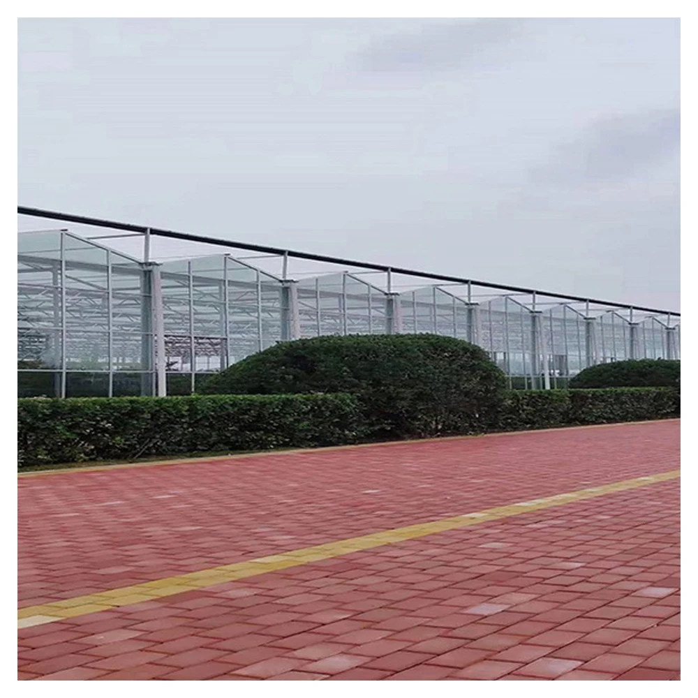 Hot sale hot-dip galvanized steel intelligent glass greenhouse for tomato growing