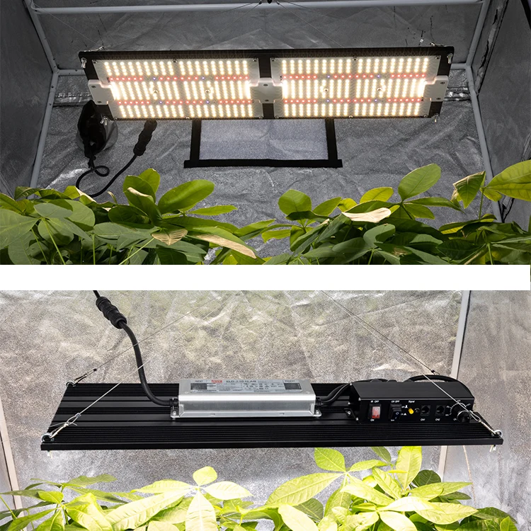 Fast Delivery Lm301h 240W Grow Light Board Full Spectrum Lm281b 660nm Red Coverage 3*3 Tent Led Grow 240W Uv Ir