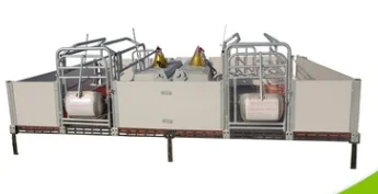 Pig Farrowing Crate cage For Sale