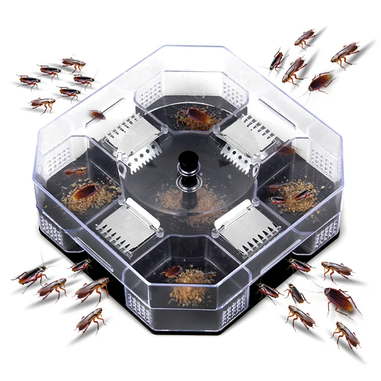
Super Strong Cockroach Board Safety Non-Toxic Pest Control Rat Trap Glue Catch Cockroach Trap for Sale 