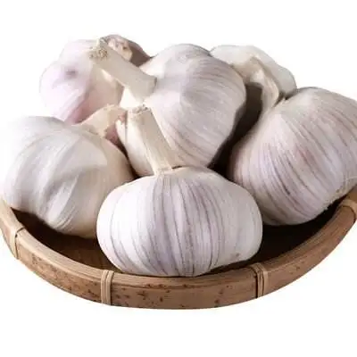 High Quality Dried Garlic Ready To Ship From Vietnam Dried Garlic For Cooking Best Price For Wholesale