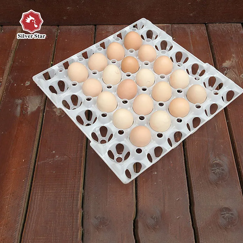 Plastic 30 Holes Chicken Eggs Tray Egg Crate For Package Transport