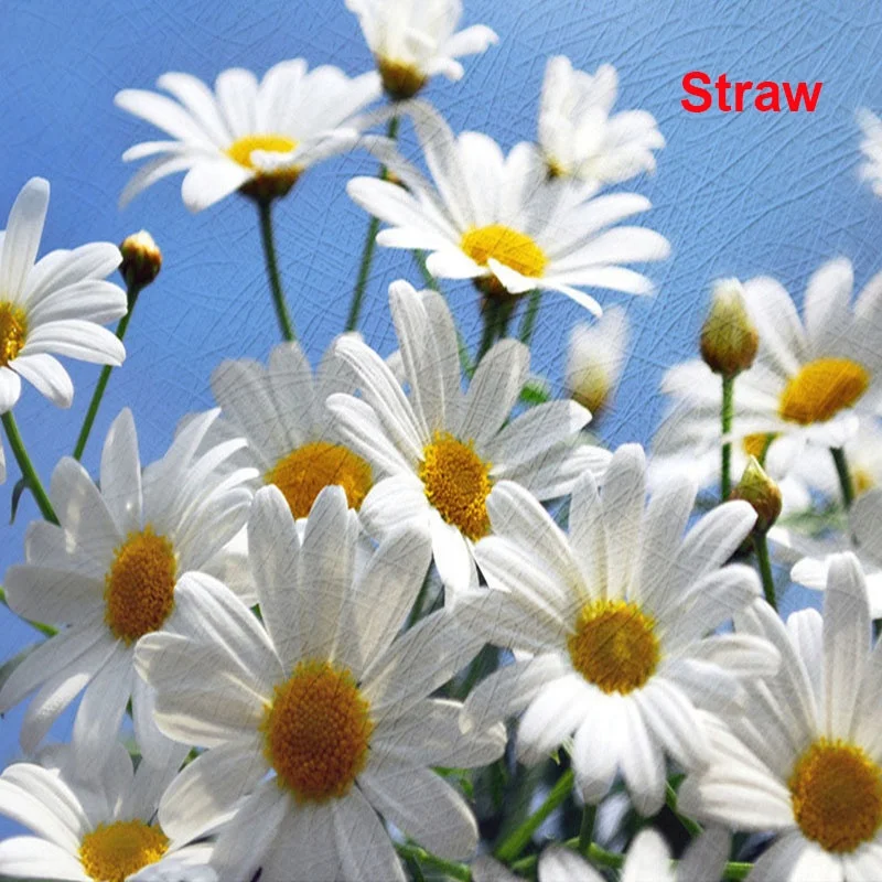 Self Adhesive Wallpaper  Eco-solvent Printable Wallpaper Decoration Self Adhesive Vinyl PVC Blank Wallpaper