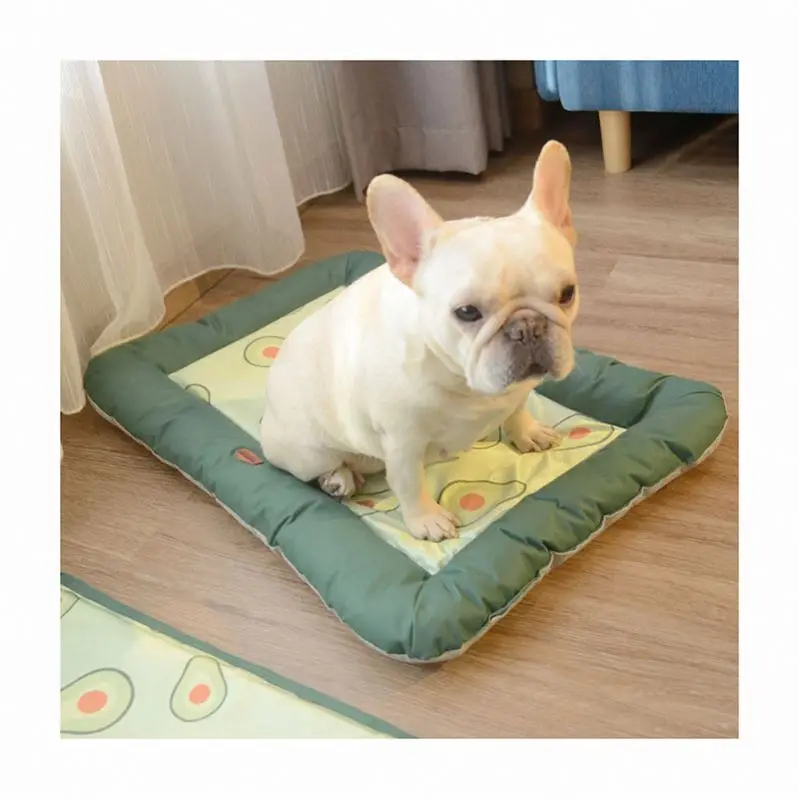Pet beds for summer