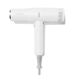 Wholesale High speed BLDC Brushless Motor Salon Equipment Professional Hairdryer New Blow Custom Hair Dryer  OEM  ODM